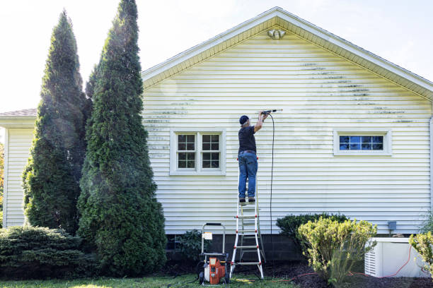 Best Roof Cleaning and Mildew Removal in Willows, CA